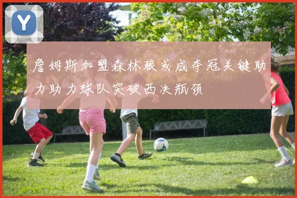 詹姆斯加盟森林狼或成夺冠关键助力助力球队突破西决瓶颈